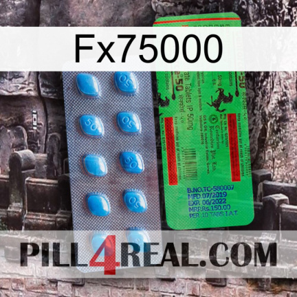 Fx75000 new03
